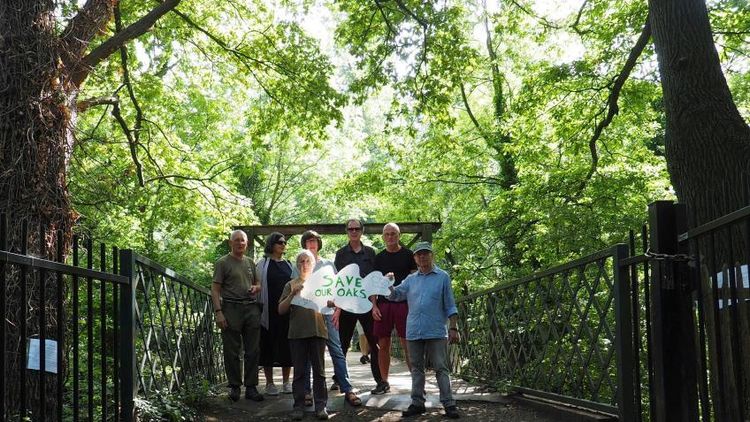 Case Study: Save the Footbridge Oaks Campaign